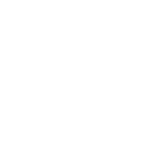 Icono seguro disponible 2